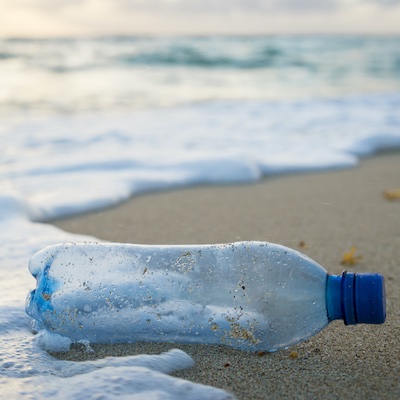 The public gets what the public wants.