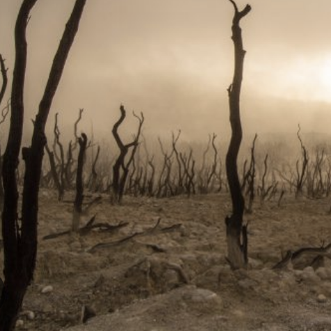 Those scientific facts.