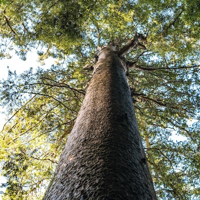 Valuing our resources