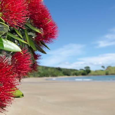 Finally - the good news