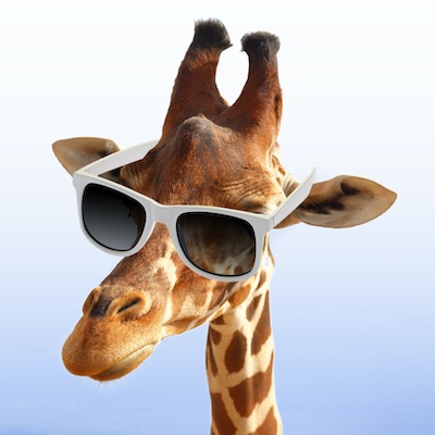 Blind to the specs ...